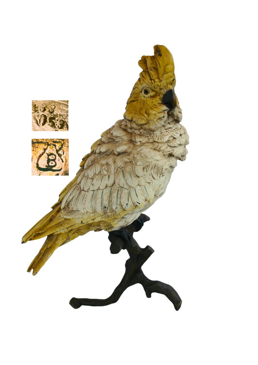 Franz Bergman Bronze Cockatoo